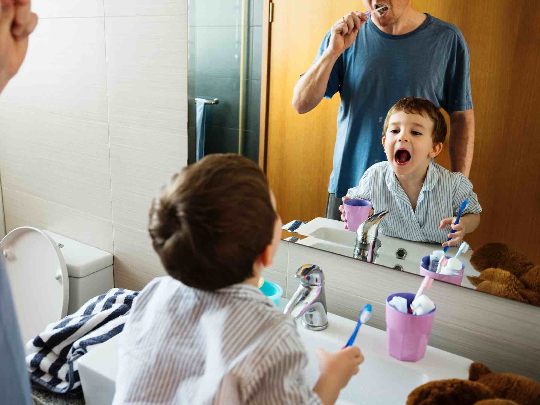 Función de los dientes