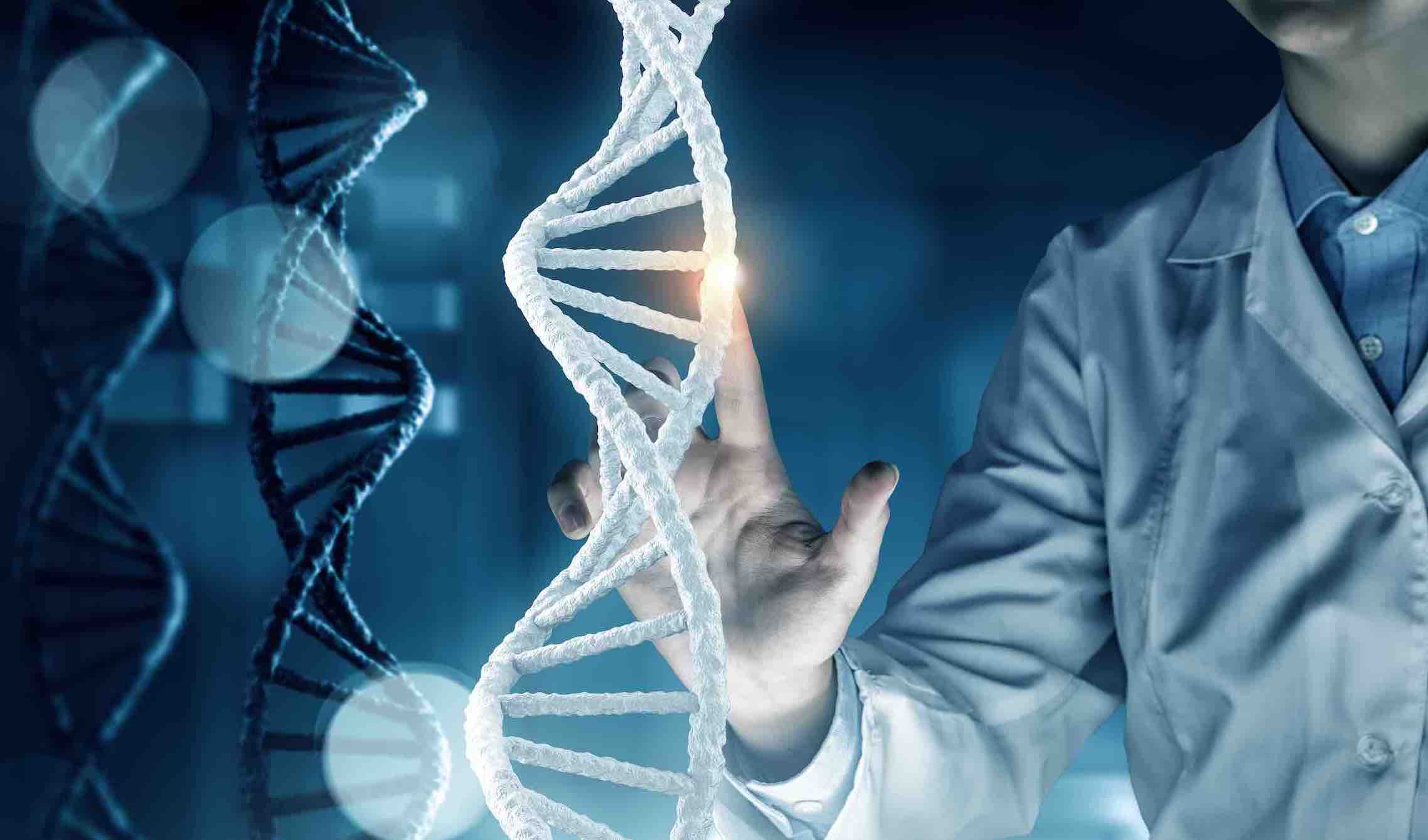 Test genético bacteriológico
